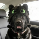 UnaverageButter avatar